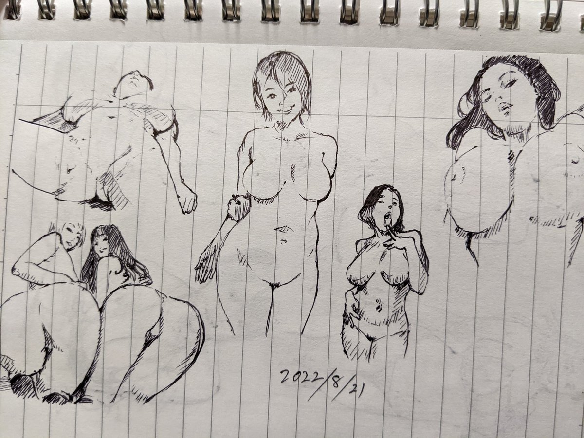 恐らく今後もボールペンで様々なジャンルの模写することは辞めないと思う この右手が動く限り カキカキ。 