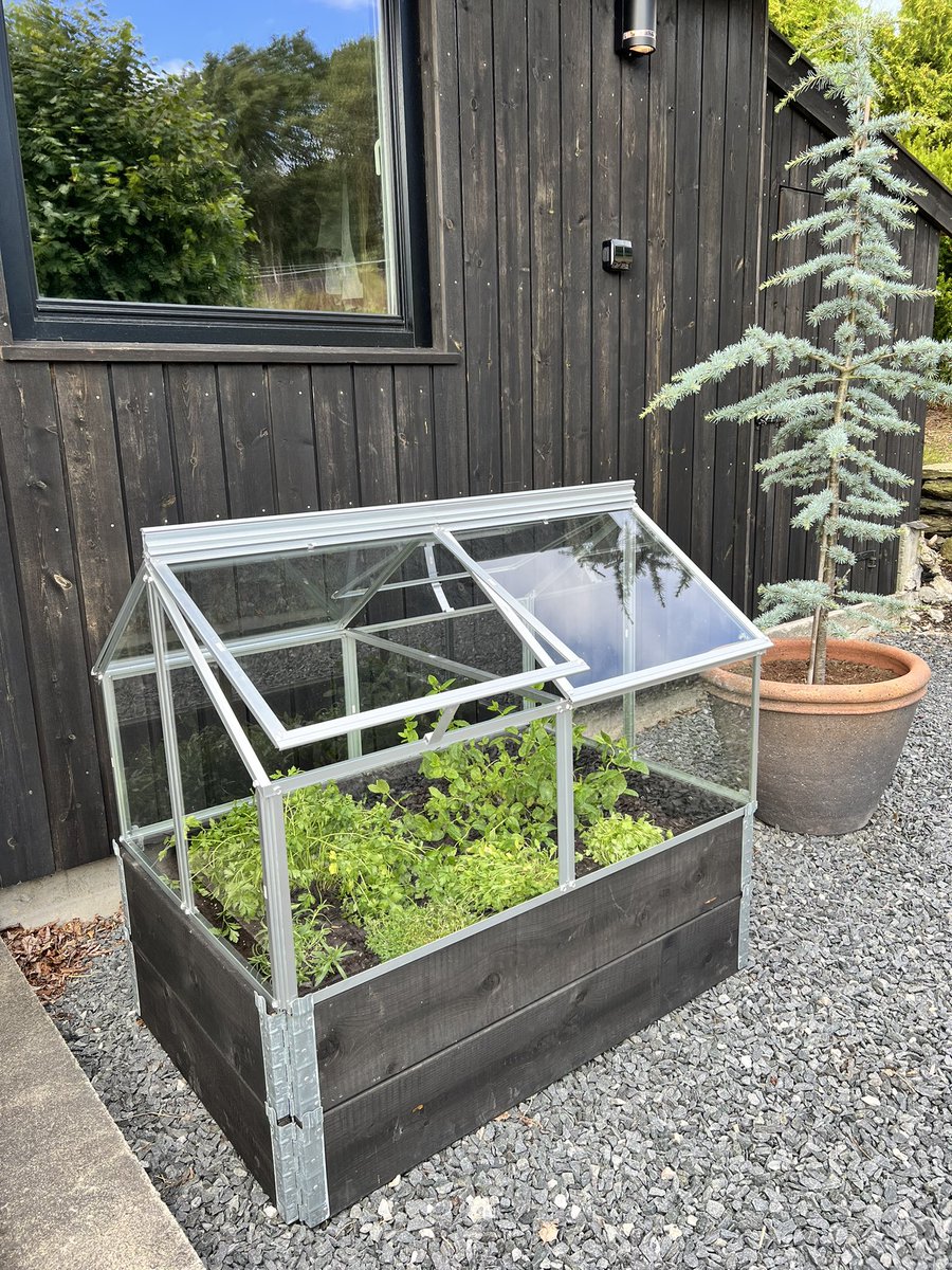 birkeland_maria's tweet photo. Maria Does Stuff She Doesn’t Know (part 3) 🤩I DID IT!!!🤩 #buildingstuff #figuringshitout #allbymyself #minigreenhouse #herbgarden #idontknowwhatimdoing https://t.co/THkcs7HaUp