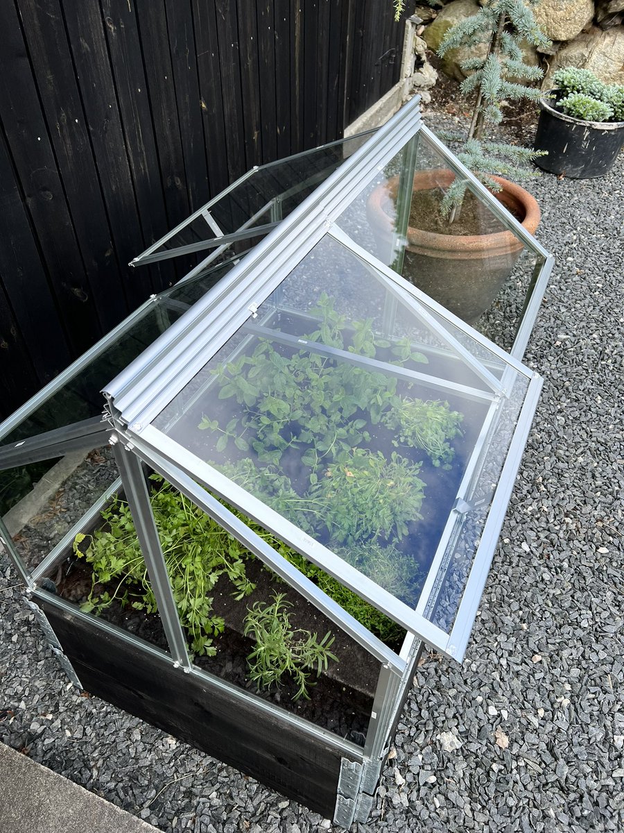 birkeland_maria's tweet photo. Maria Does Stuff She Doesn’t Know (part 3) 🤩I DID IT!!!🤩 #buildingstuff #figuringshitout #allbymyself #minigreenhouse #herbgarden #idontknowwhatimdoing https://t.co/THkcs7HaUp