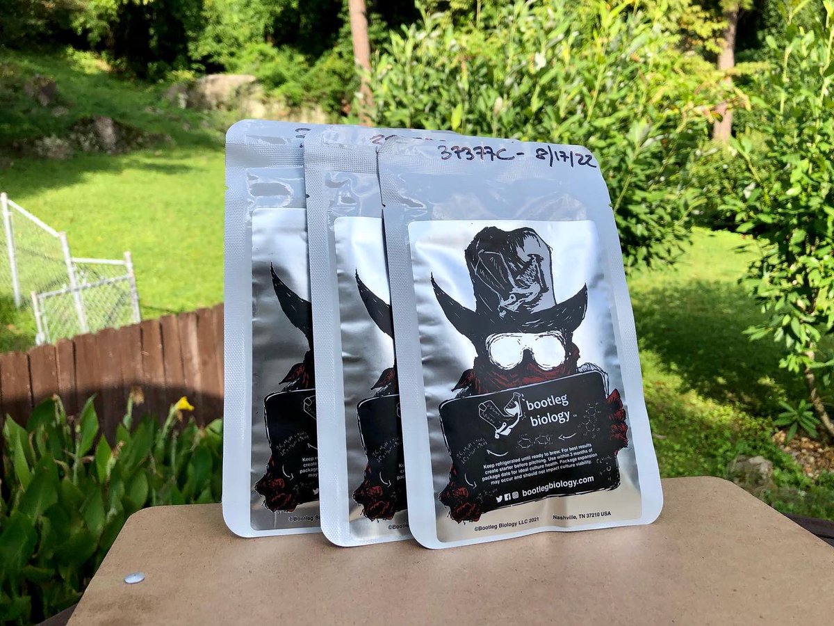 Dynamic Ales tweet media