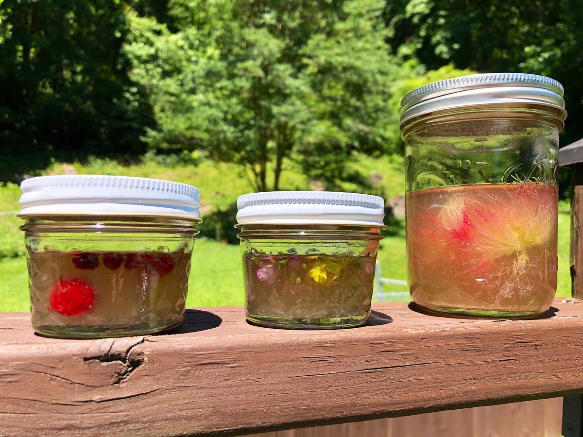 Dynamic Ales tweet media