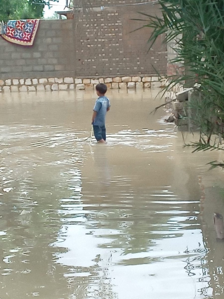 aliamber04's tweet photo. کراچی کے سیلاب کی خبریں تو سب نے پڑھی بھی اور رپورٹ بھی کی مگر کراچی کے علاوہ اندرون سندھ ڈوب رہا ہے تمام تر مکانات گر چکے ہیں ہر جگہ پانی ہی پانی نہ کھانے کو کچھ اور نہ کوئی امداد کہیں سے پہنچی حکومت بھی بے خبر 
#Sindh 
#kotdigi 
#khairpur 
#sindhgovernment
#BilawalBhutto 
#ndma https://t.co/H7jyIQR6lo