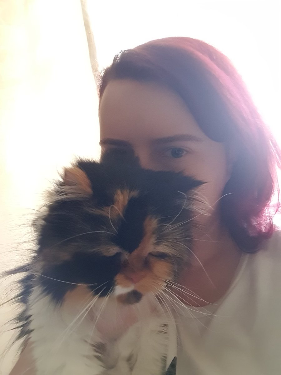 Hello kitty 😺