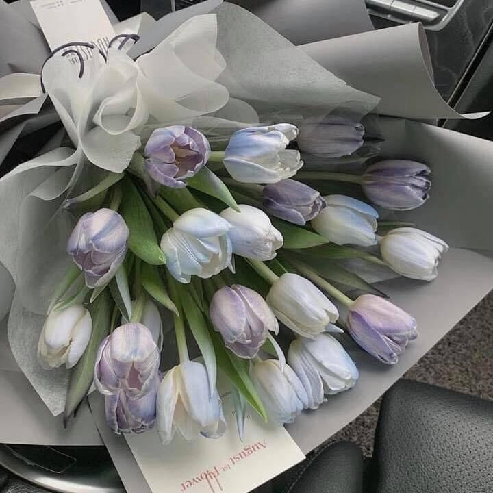 fromkyahseyes's tweet photo. You deserve flowers. https://t.co/AuAQMYtDKl