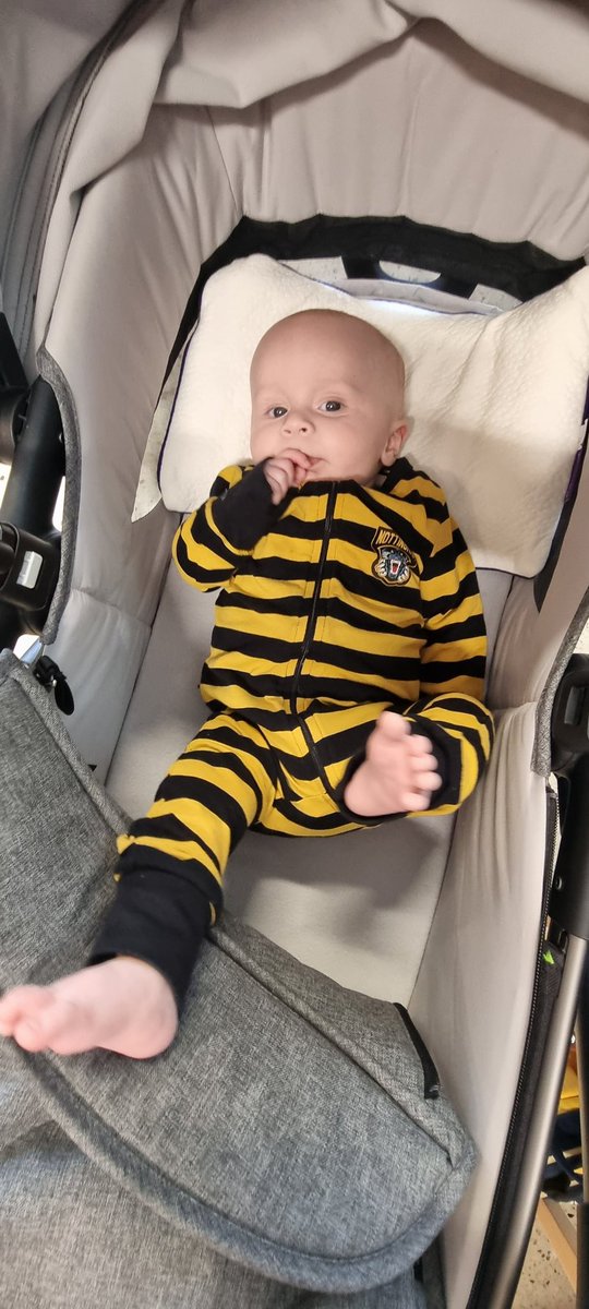 About this time next week <a href="/Hall44Jo/">JHall</a> and I will be getting ready for our first post baby <a href="/PanthersIHC/">Nottingham Panthers</a> game. Can't wait. And this little guy can't wait to be old enough to cheer on  the boys too!

Let's Go 🖤💛🖤💛