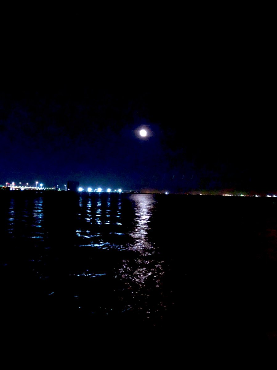 神奈川の #海 といえば、
江ノ島、湘南、横須賀、横浜
ですが、

工業地域として
有名な #川崎 も工場をバックにして
とても海がキレイです✨

夜の海は
怖く感じることが多いですが、
川崎の海は夜に行くのがオススメです

 #地球村フェス