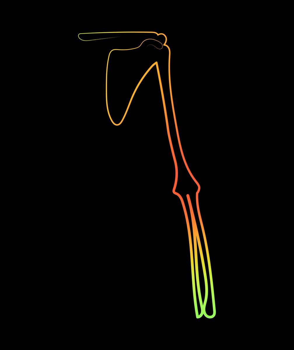 Arms
.
Human body parts as NFTs, the physical substance of the human organism, all drawn in one colorful line. Find these NFTs on <a href="/opensea/">OpenSea</a> in the collection : Human Body Anatomy
#NFTCommunity #NFTs #NFT #nftcollector