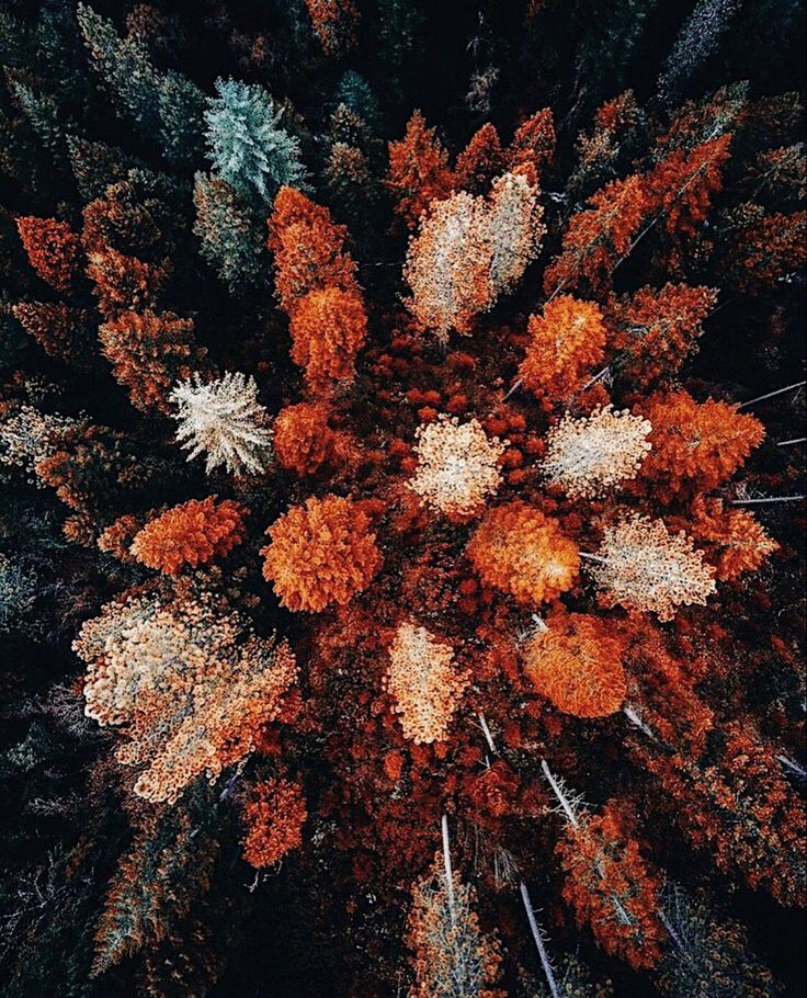 aperfectpumpkin's tweet photo. this is amazing https://t.co/IQti1hkR0t