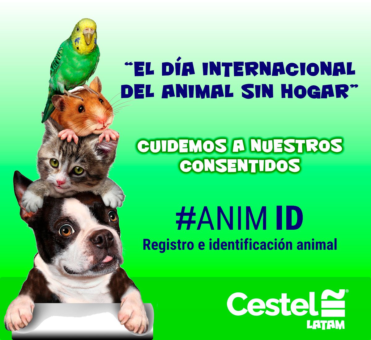 cestelatam's tweet photo. Nos sentimos comprometidos con “El Día Internacional Del Animal Sin Hogar” en #CESTEL @cestelatam promovemos la tenencia responsable con tecnología de punta como #ANIMID Registro e identificación animal. #CESTEL #ANIMID #tecnologia #perro #gato #latinoamerica #salud #animal https://t.co/36PZUOfQJ2