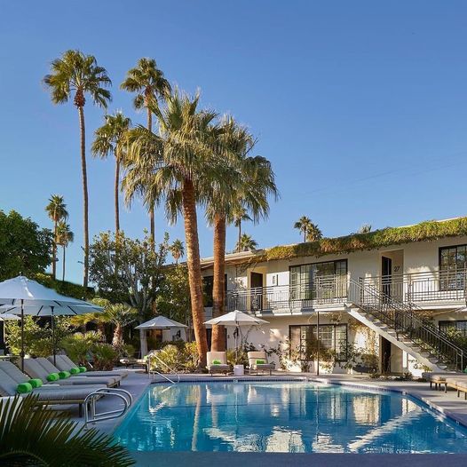 DescansoPS's tweet photo. Intimate and friendly, the perfect place to unwind and recharge. That’s @DescansoPS.
#GayHotel #GayTravel #PalmSprings 
https://t.co/S89UN5dDqJ https://t.co/lu0A64E33W