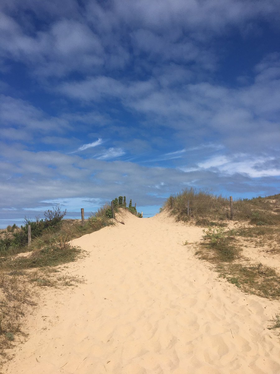 Vincent Guérend tweet media