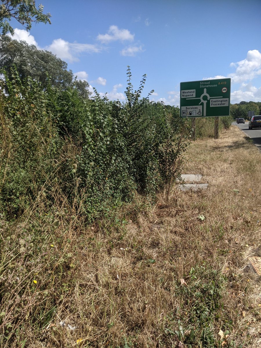 EricTorrington's tweet photo. #Litter picked 250m of A419 carriageways + roundabout at #Nupend #Gloucestershire. Not to be confused with #Bagend #TheShire #Middleearth 😏. Supporting @TruckersUp @KeepBritainTidy @StroudDC https://t.co/7vi8WK0Zix