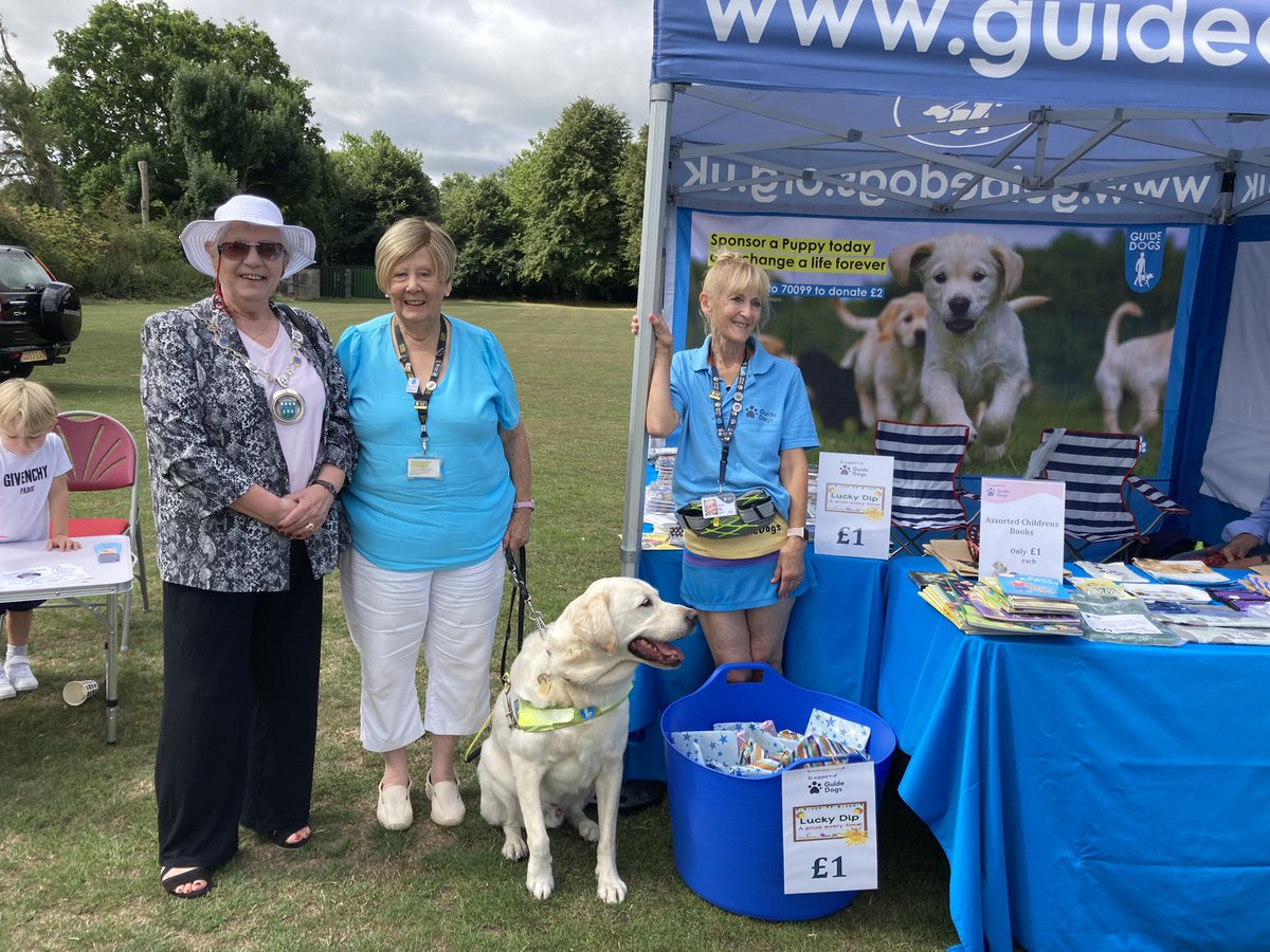 Where have four weeks gone? Twenty super Family Fun Days were attended by lots of families who all had a great time. <a href="/SDC_newsdesk/">Sevenoaks District Council</a> enjoy providing free activities for families throughout the District. <a href="/guidedogs/">Guide Dogs</a> were very popular in Chipstead.