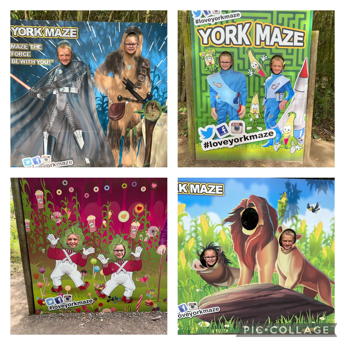 #iloveyorkmaze what a great day out ❤️💗