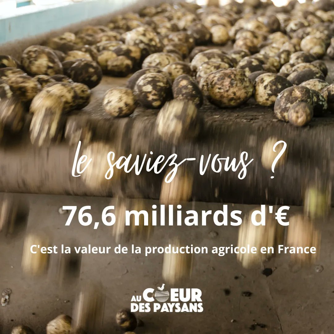 CoeurPaysans's tweet photo. Pour découvrir la diversité de cette production agricole, venez randonner sur nos sentiers 🐄 🌾 🍅 
https://t.co/ZOZx5KQ0JH https://t.co/hvM8HUITyp