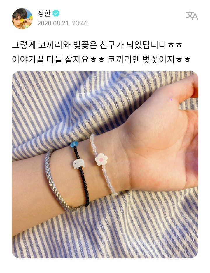 jhhjfiles's tweet photo. 200821 two years since this jeonghan's weverse post 

😇: that's how the elephant and cherry blossom become friends ㅎㅎ this is the end, sleep well everyone ㅎㅎ cherry blossom are the best for elephant ㅎㅎ https://t.co/OoXi9k59Ul