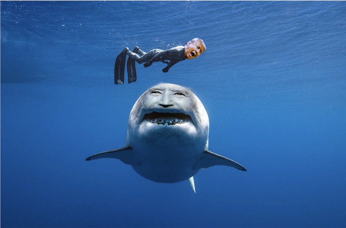 With #DarkBrandon every week is Shark Week.
