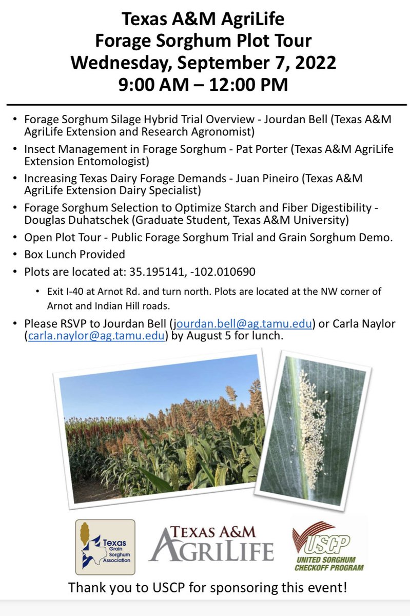 TXPanAg's tweet image. Save the Date! AgriLife Forage Sorghum Plot tour will be Wednesday, September 7. 
Come see 77 forage #sorghum hybrids in the same environment! ⁦@SorghumGrowers⁩ @TexasSorghum⁩ ⁦@tamctp⁩