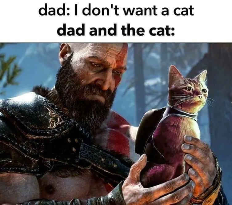 VoodooPlague's tweet photo. It's Caturday today! Hope everyone is having a great weekend!
#videogames #videogamewalkthrough #videogamememes https://t.co/jnNvNhNbXs