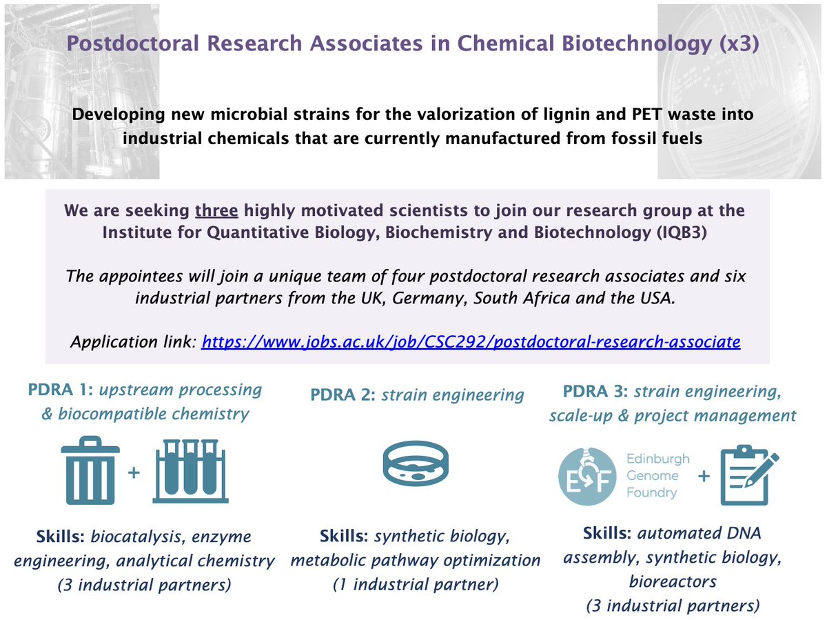 Dr_StephenW's tweet photo. Just under 2 weeks remaining to apply! Come join us at @SBSatEd @SynthSysEd to engineer 🧫 to valorise🗑 into new 🧪. You will join a team of 4 PDRAs and 6 industrial partners on an exciting project in #greenchemistry and #synbio. @EPSRC @EdinburghChem @IBioIC @KTNUK @HVB_net https://t.co/mgpOeEOAEO