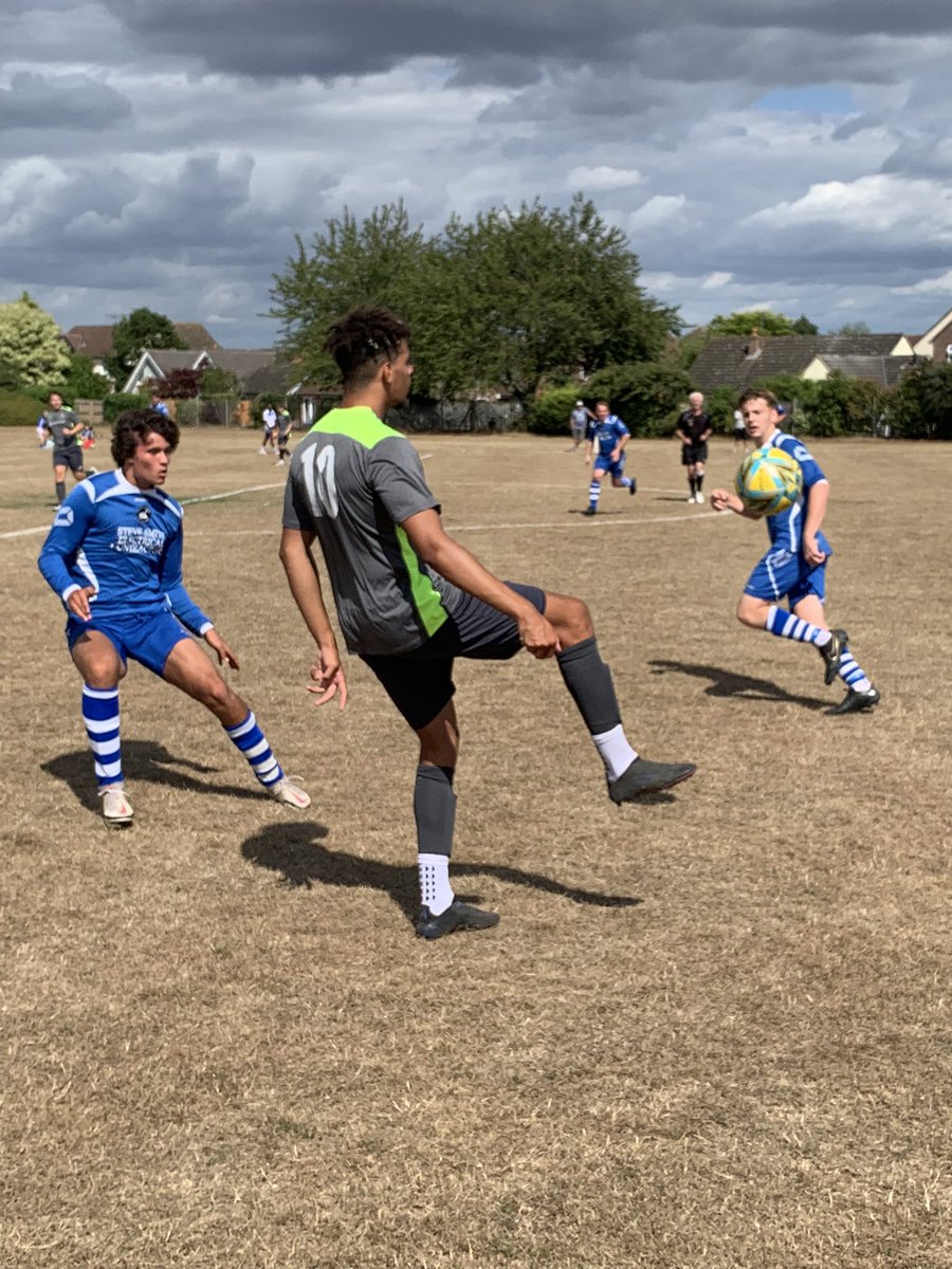 Ipswich Wanderers Development Sides tweet media