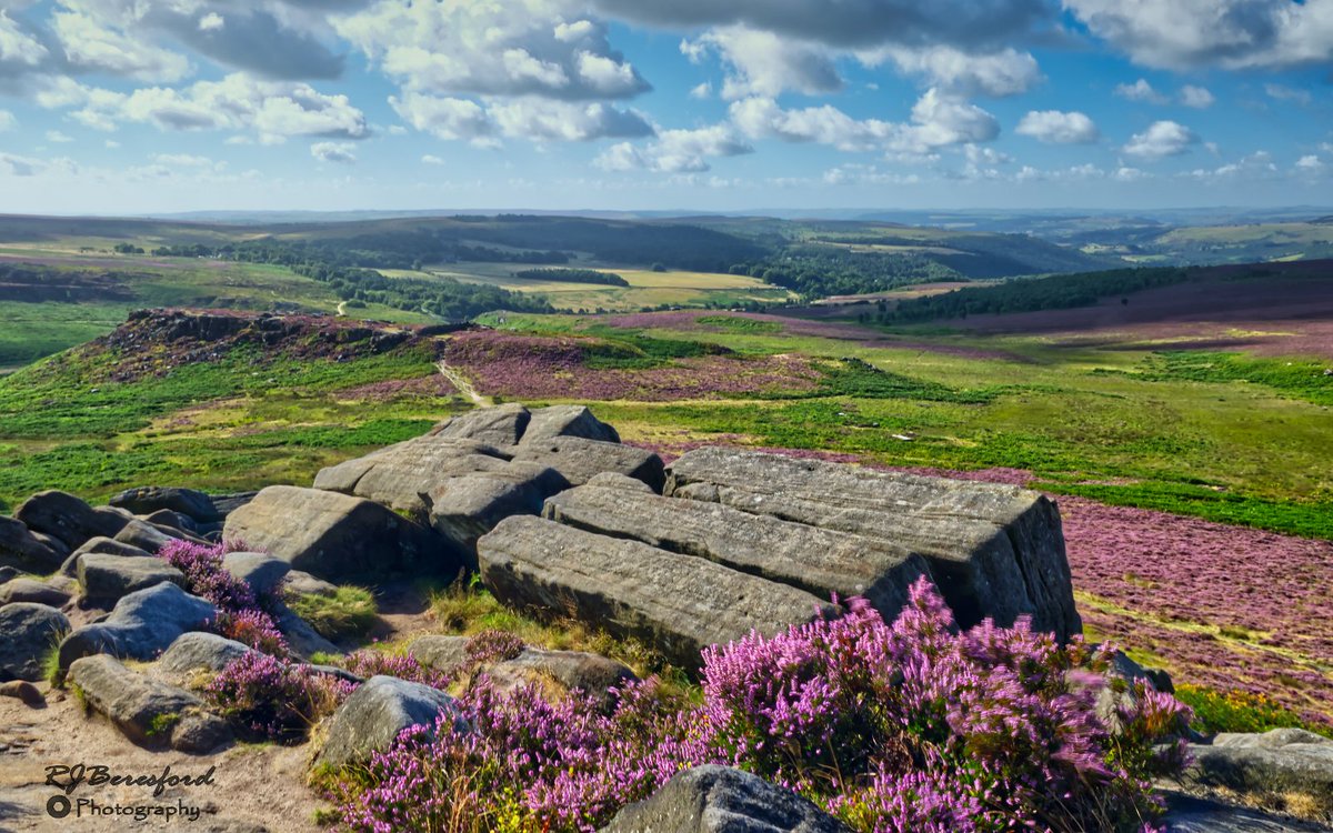 HiggerTor
A beautiful morning walking along Higger Tor in the Peak District. The heather is in full bloom and looking fantastic at the moment. 
#Derbyshire #PeakDistrict #higgertor #landscape #landscapephotography #derbyshireinphotographs #colour