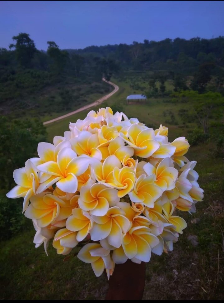 jkumar24saikia's tweet photo. https://t.co/E1cavZxnUU