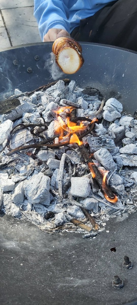 Tremeirchion have their first Forest Church service tomorrow so the boys thought they had better check out that the fire pit and marshmallows are up to scratch 🤔