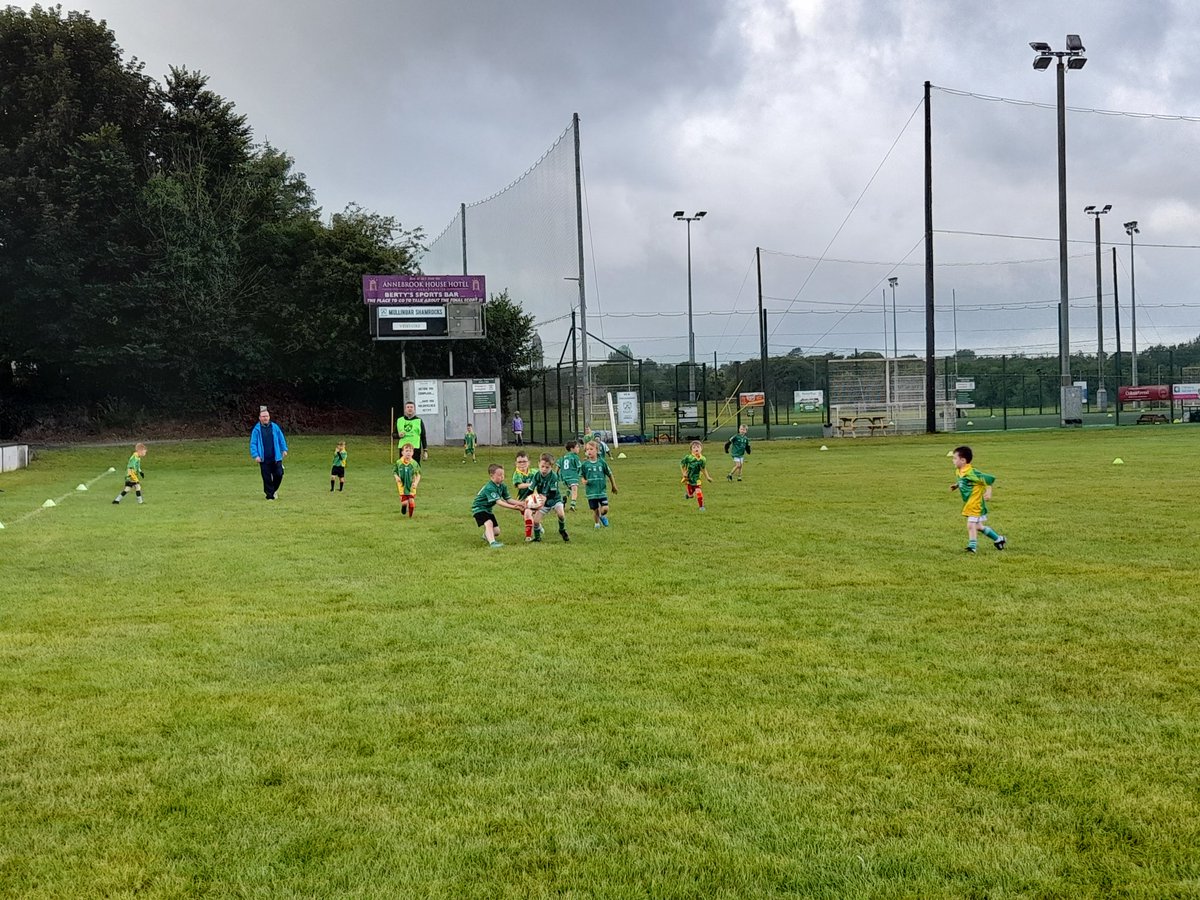 Westmeath Coaching & Games tweet media