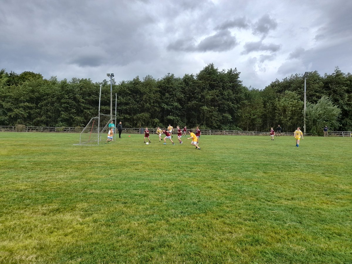 Westmeath Coaching & Games tweet media