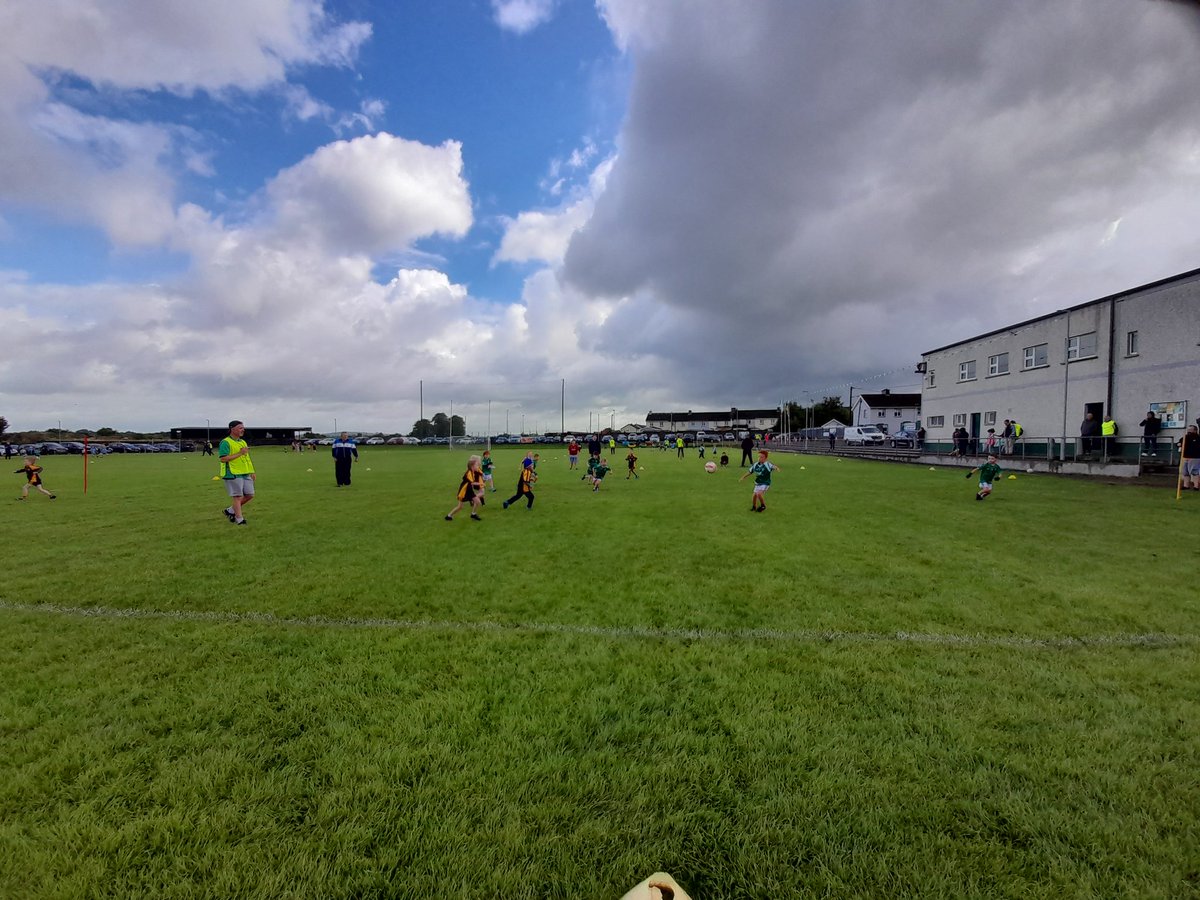 Westmeath Coaching & Games tweet media