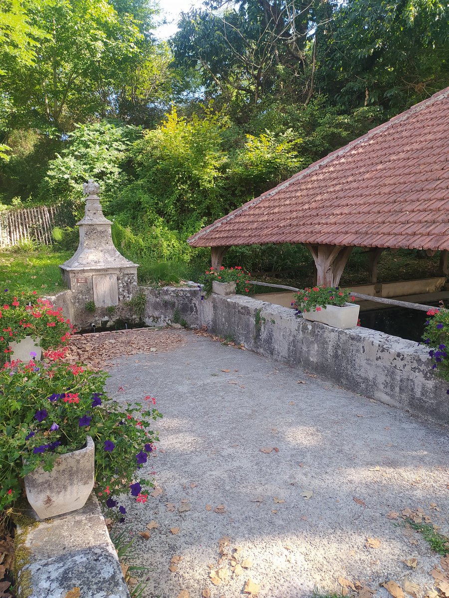 BK_abroad's tweet photo. #LabastideDArmagnac #Landes https://t.co/qL3QRx19oW