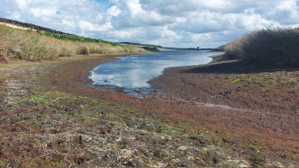 Two of the reservoir inlets dried up completely weeks ago.
Water supplies to our land at Langbar dried up last week so we're lugging 1KL containers to the cows twice a day.
Sure they drink double when it's being brought by human!