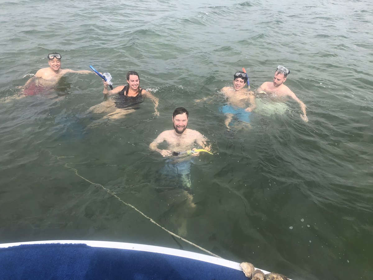 MissKimShell's tweet photo. This week we went snorkeling through oyster beds and eating/ shucking the oysters we were diving for, right on the boat. What an experience! https://t.co/wQ5QPiUQSG