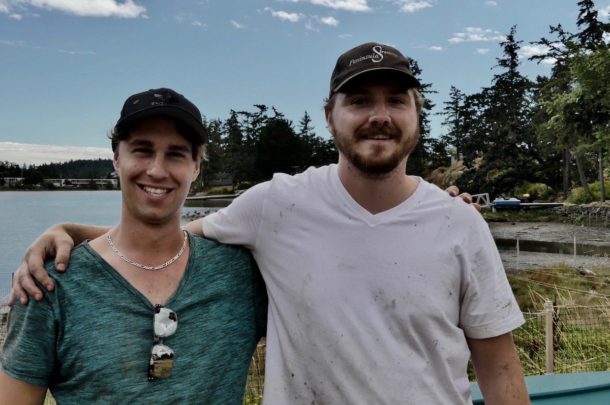 In two days (Aug. 3 &amp; 4) Dawson Clermont (Guardians of Mid Island Estuaries), Austin Noland and Tamara Bonsdorf <a href="/PenStreams/">Peninsula Streams and Shorelines</a> to install 200 m of fences made of willows (Pacific Willow) in the degraded estuary of Hospital Creek in Portage Inlet, <a href="/TownofViewRoyal/">Town of View Royal</a>