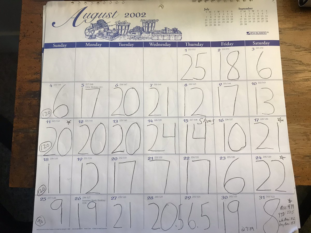 Daily mileage from 20 years ago this month. Stupidity😂