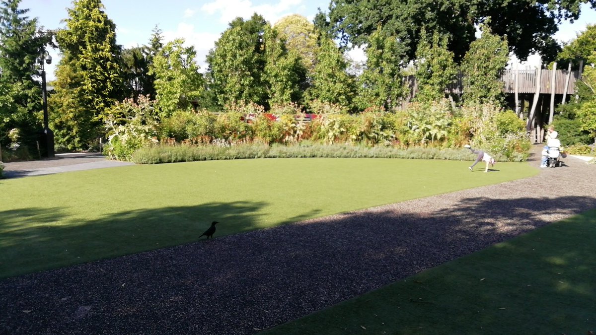 jasonball_dr's tweet photo. @kewgardens can't believe you've got artificial grass at Kew @Shitlawns https://t.co/qlD88twGEP