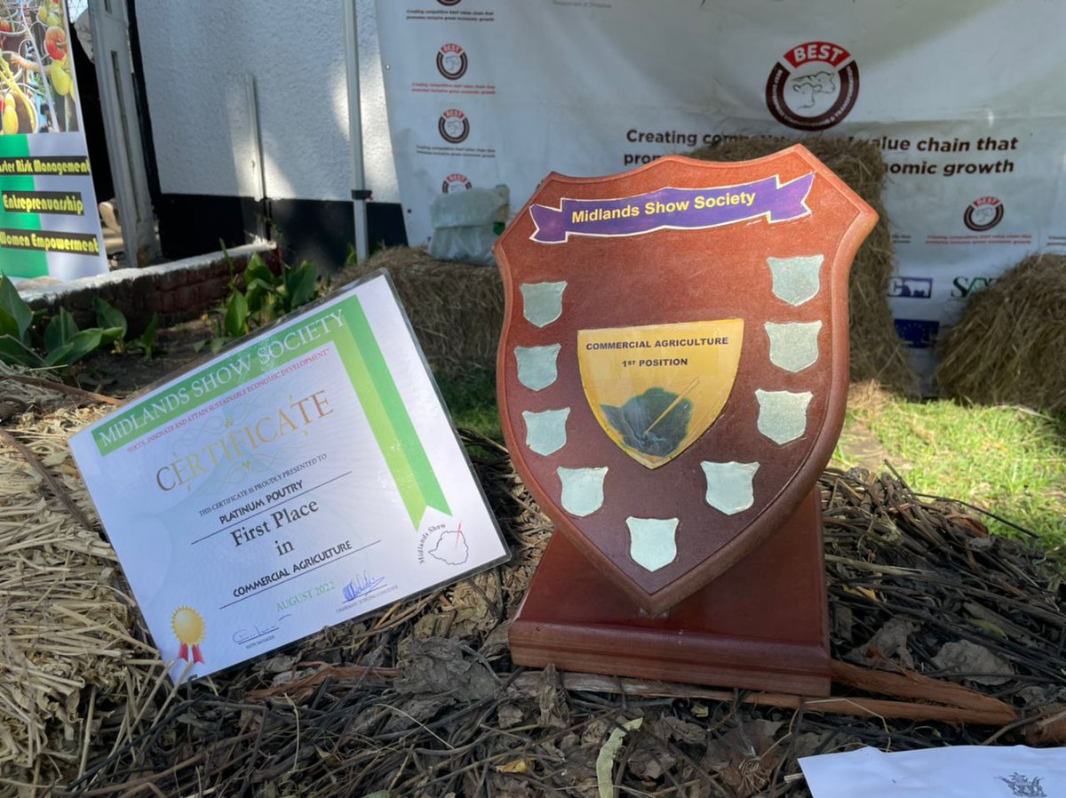 URBProject's tweet photo. We cant keep calm💃🏻💃🏻
As @WHHZimbabwe we are honoured to win the Commercial Agriculture Award at the Midlands Agriculture Show 2022. @zagpbest ,@URBProject and @IPVCZim.
#ZeroHunger https://t.co/PhdGFVA3pw