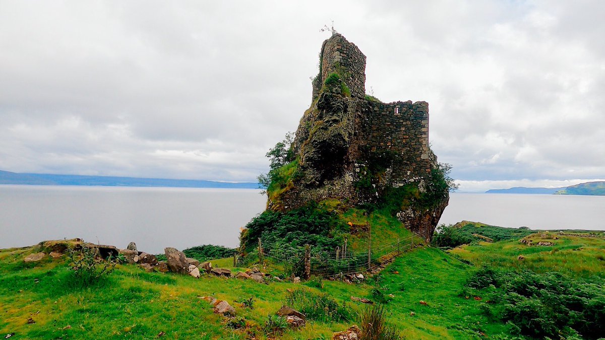 Tim’s Travels tweet media