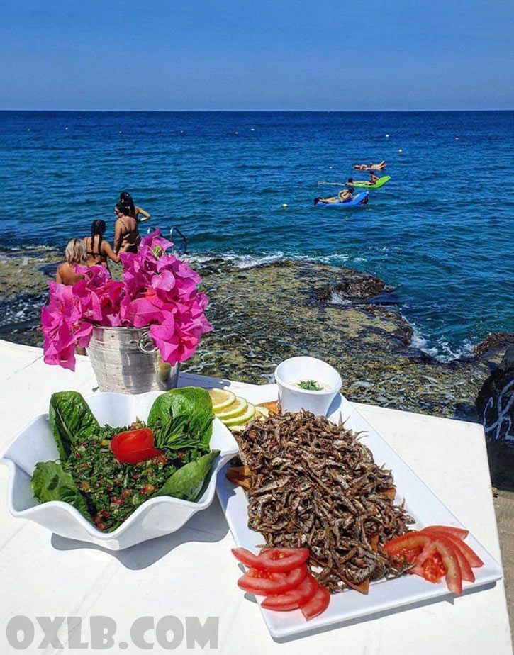 onefineart's tweet photo. Let's change the mood... and live a moment of peace and good time https://t.co/BQIWMwsypk Iyem el 3ezz ya loulou...
#lebanon #goodtime #mylebanon #lebanesefood #goodtime #eatfish #beautifultime #lebanonsummer #summer #summerinlebanon https://t.co/BiMGRrsZVB