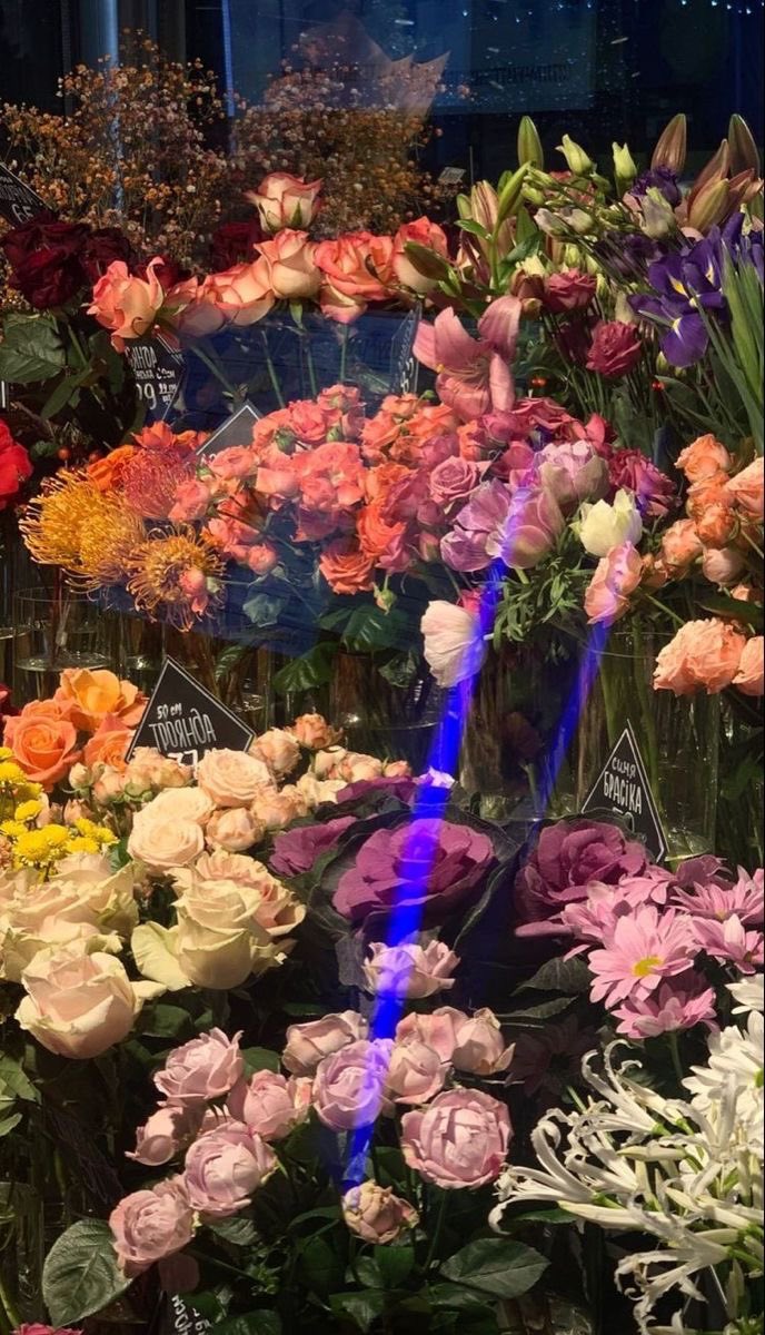 hrrysIoml's tweet photo. @sateIIiths @dreamsateIlite @missinstyles @hsatellit3 @eternalies someone’s thankful for all of you! https://t.co/XLQIr74e48