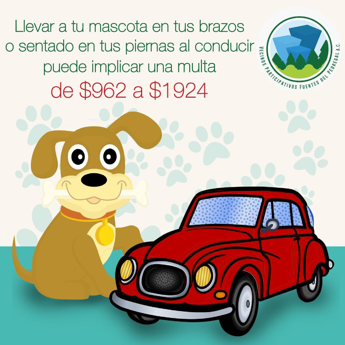 ¡Si eres de las personas que sacan a pasear en coche a su mejor amigo es mejor que sepas esto!