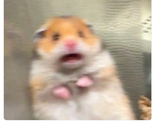 mohdimran2000k's tweet photo. 2018 batch students after seeing any news/rumours related to NEXT 2023 https://t.co/0kPFwiJbUb