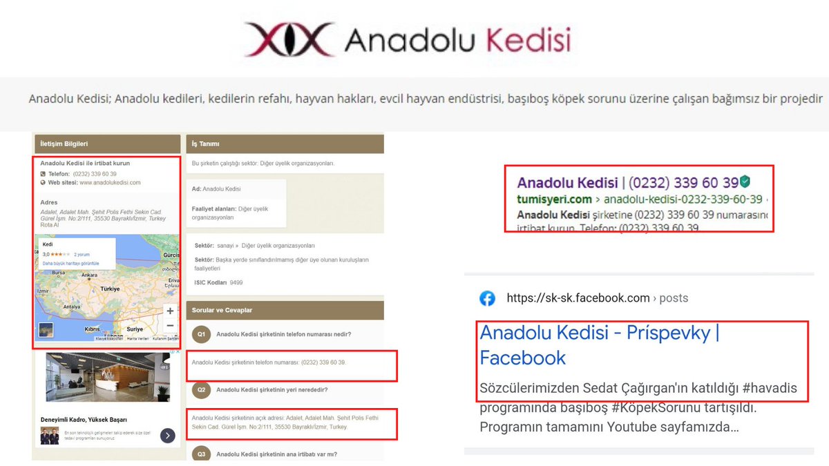 ermanpacali's tweet photo. Batu Aksoy'un kurduğu ve köpek katliamı heveslisi yayınlarıyla geçtiğimiz yıllarda büyük tepkilere neden olan Anadolu Kedisi bilindiği üzere İzmir Bayraklı'da bir ofis kullanıyor. 
Sözcüsü Sedat Çağırgan.
Bu ofisin irtibat numarası ise web kayıtlarına göre 0232 339 60 39 https://t.co/RBCaAKaQhp