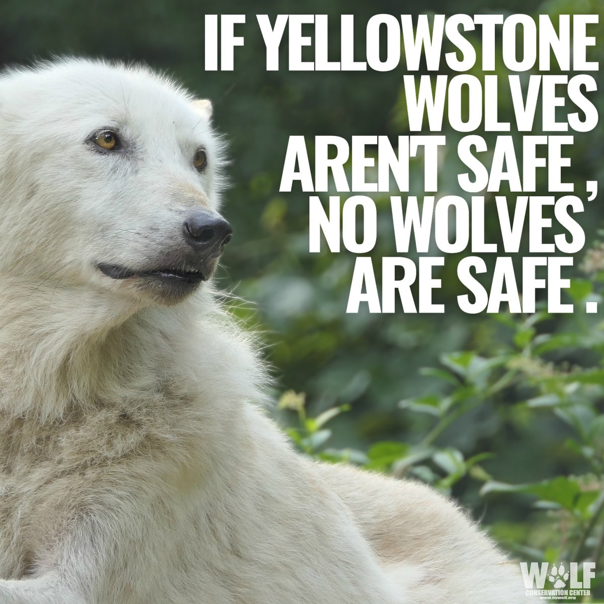 🔞Rubber Mutt's Art Dump🔞 on Twitter "RT Hunters killed 25