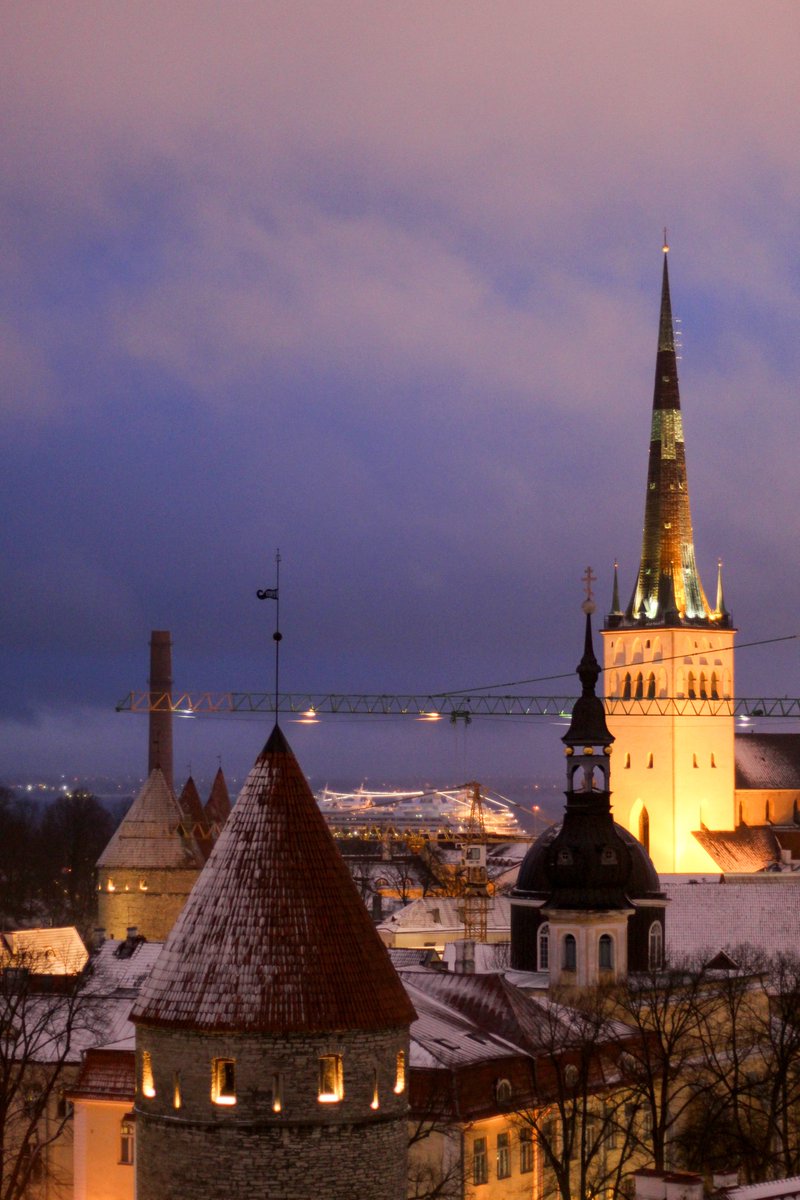 _TheRealLoganC's tweet photo. 31 years 🇪🇪💙 Happy Restoration of Independence Day! 

(Not sure I could fit my immense gratitude for living and studying here in a single tweet, but here's some photos of Estonia being completely gorgeous ☺️) https://t.co/NWt36UeAIK