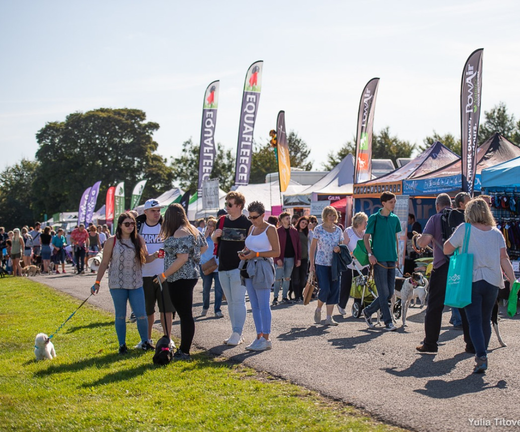 TheGoodDogGuide's tweet photo. Calling all #Dogfriendly Traders/Exhibitors - Want to sell your products/services to #dog lovers? Book your stand for @PawsinthePark1 2022 Kent show, where traders gain unrivalled access to customers who love everything &amp; anything about dogs! https://t.co/jlD3ITtqbH https://t.co/eA3nFX4raQ