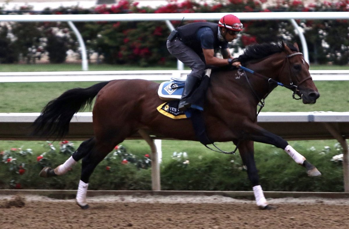 🏇 El “cohete” en acción…!!!
FLIGHTLINE nuevamente fue la sensación en la mañana de traqueos en <a href="/DelMarRacing/">Del Mar Racetrack</a> 
El sensacional caballo, invicto (de 4-4) trabajó 1400-84” y está listo para su próxima actuación, el 03 de septiembre en el @TVG Pacific Classic ($1,000,000)