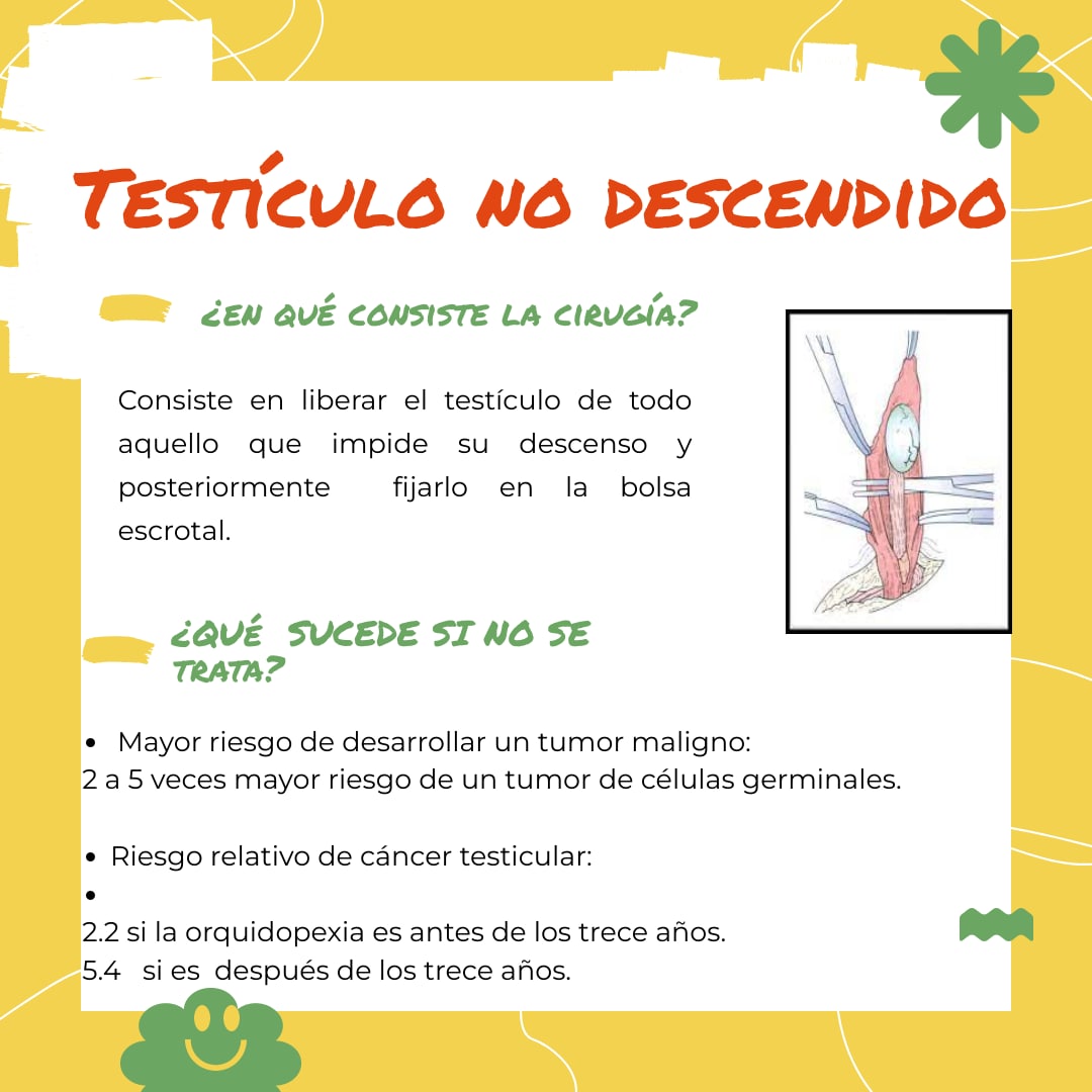 campomanesI's tweet photo. Testículo no descendido 
#uroped #criptorquidia #urology https://t.co/RlxKPQQACu