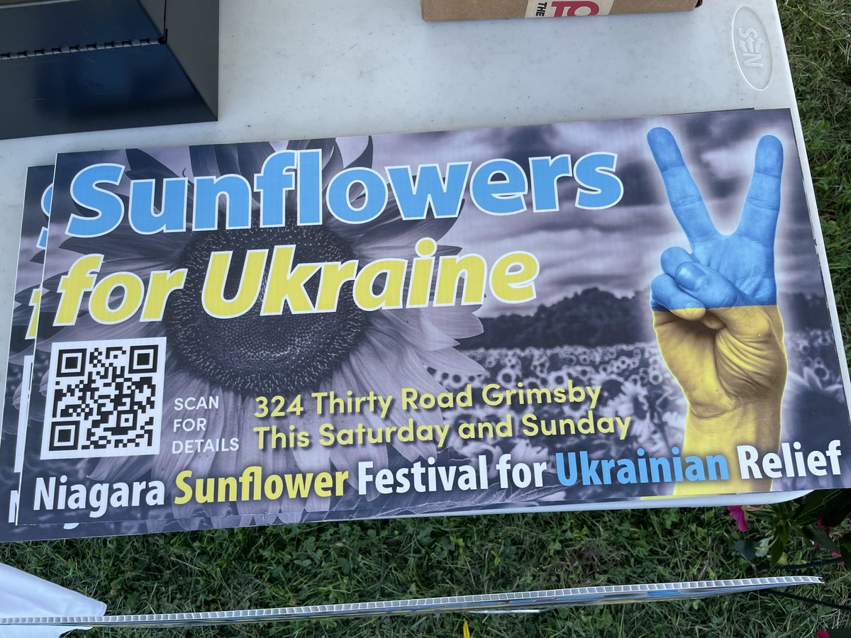 Check out our sunflower field this morning. 324 Thirty Rd Grimsby. The home of our Sunflower Festival for Ukrainian Relief. Scheduled for Aug 20, 21, 27,28. Come out!! It’s beautiful!
